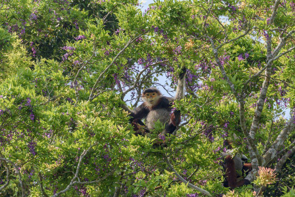 Photograph by Dang Khiem Pham