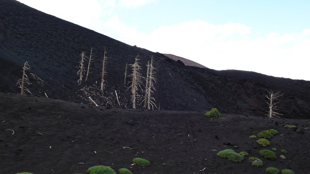 Photograph by Татьяна Крахина