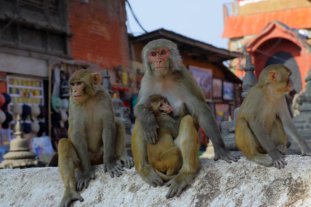 Photograph by Михаил Баевский