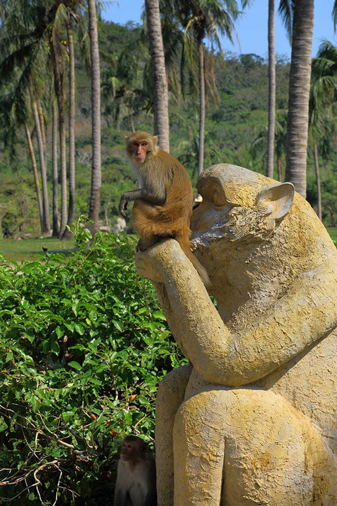 Photograph by Михаил Баевский