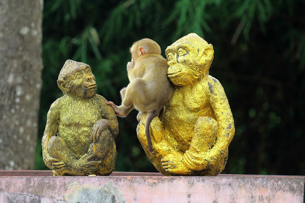 Воспитатели