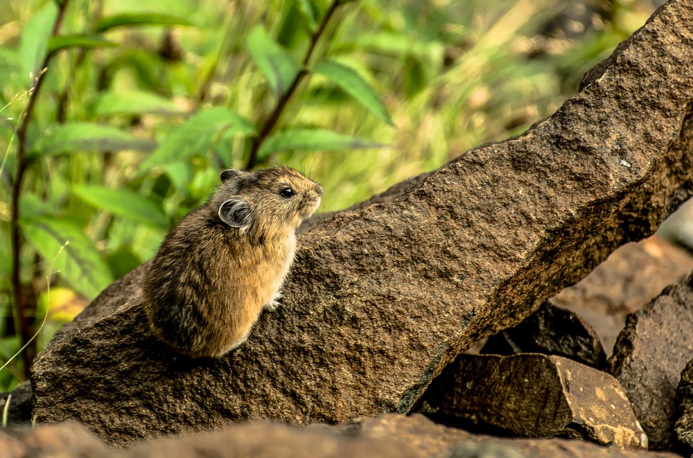 Опять ты, со своей камерой!?