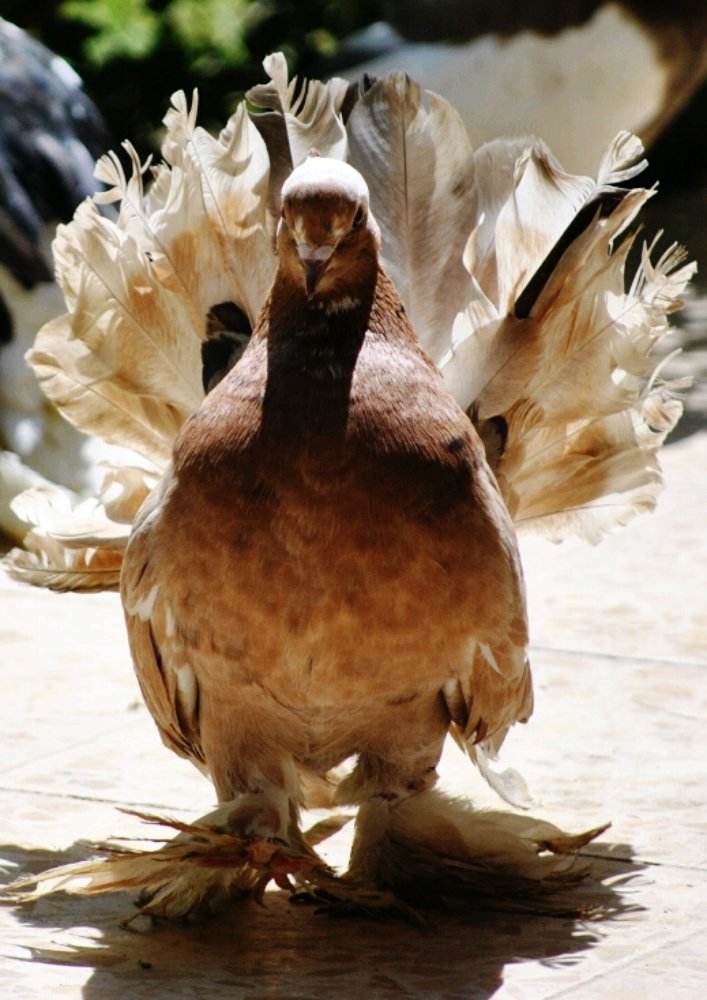 Photograph by mohammed maarij