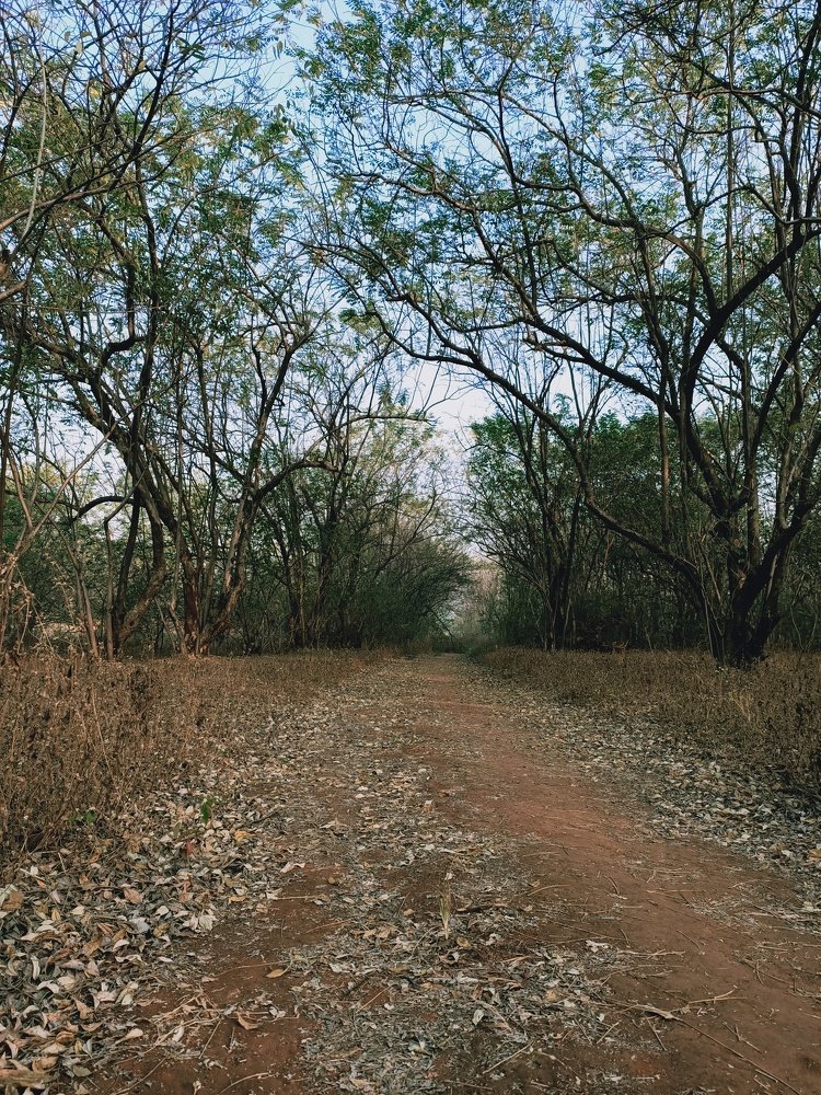 Photograph by HEMANT TUKARAM PATIL