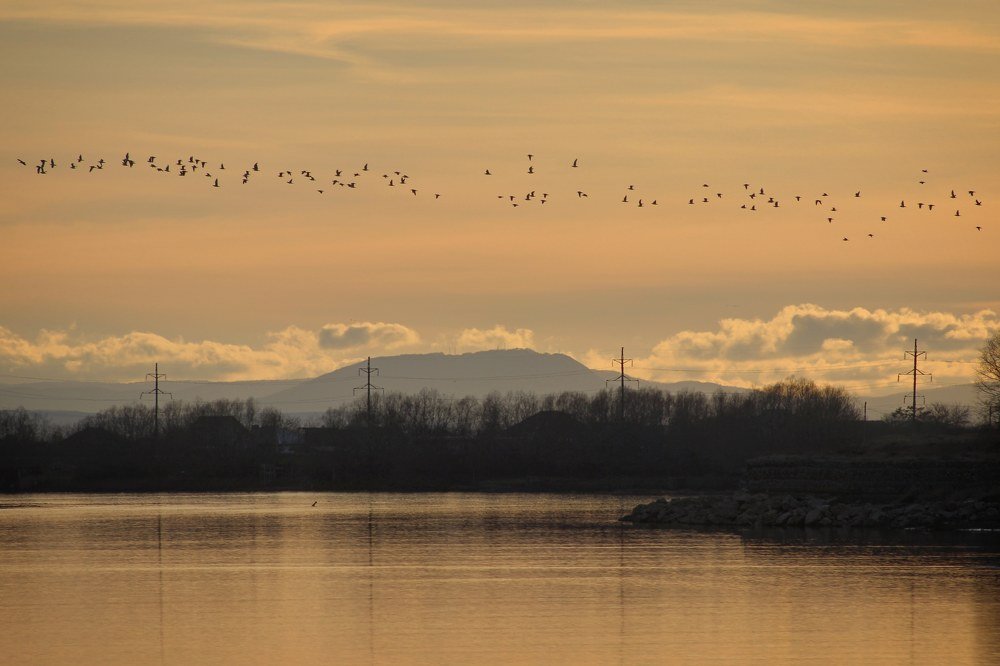 Photograph by Владимир Кульбит