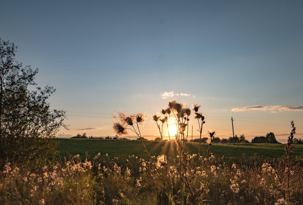 Photograph by Ольга Сафронова