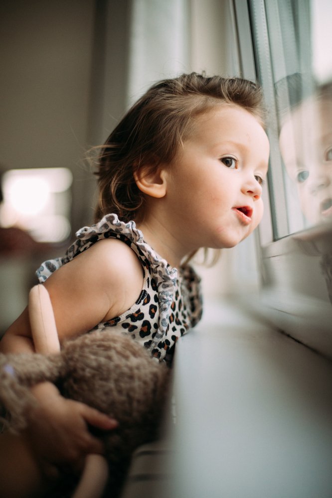 Где собачки?!