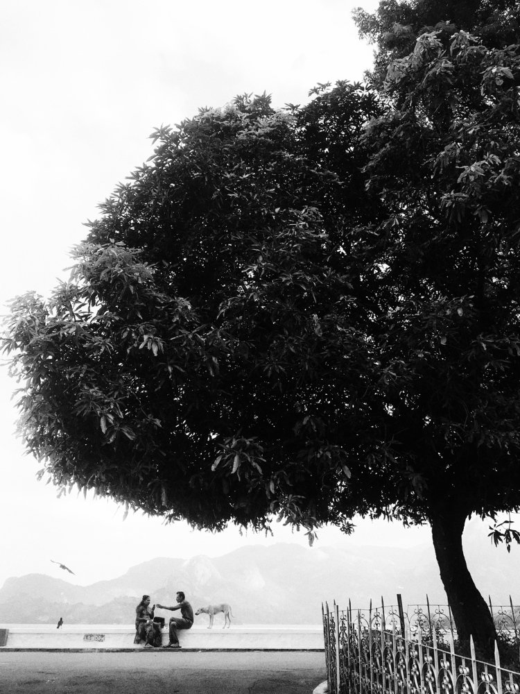 Photograph by Naveen Gowtham