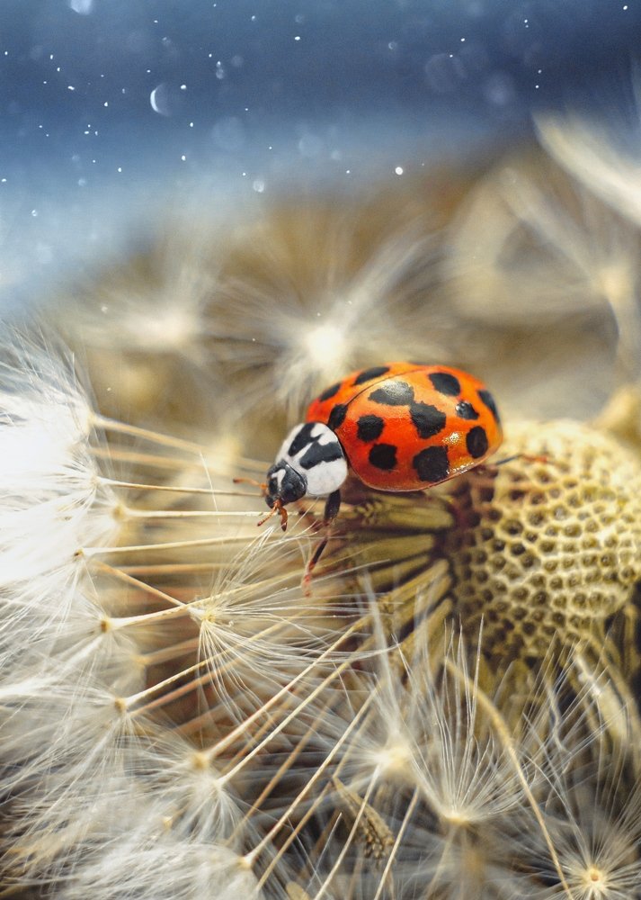 Photograph by Евгений Горланов