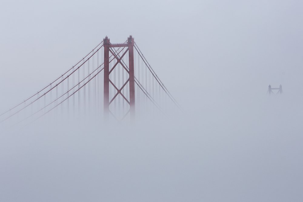 Photograph by Carlos Alberto Sequeira