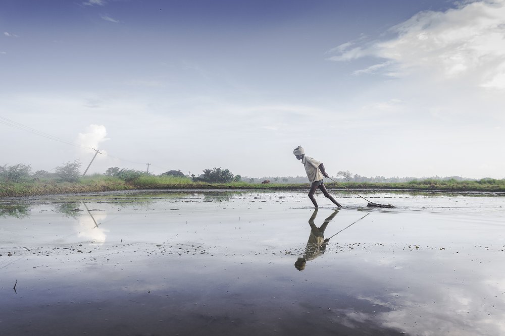 Photograph by Naveen Gowtham