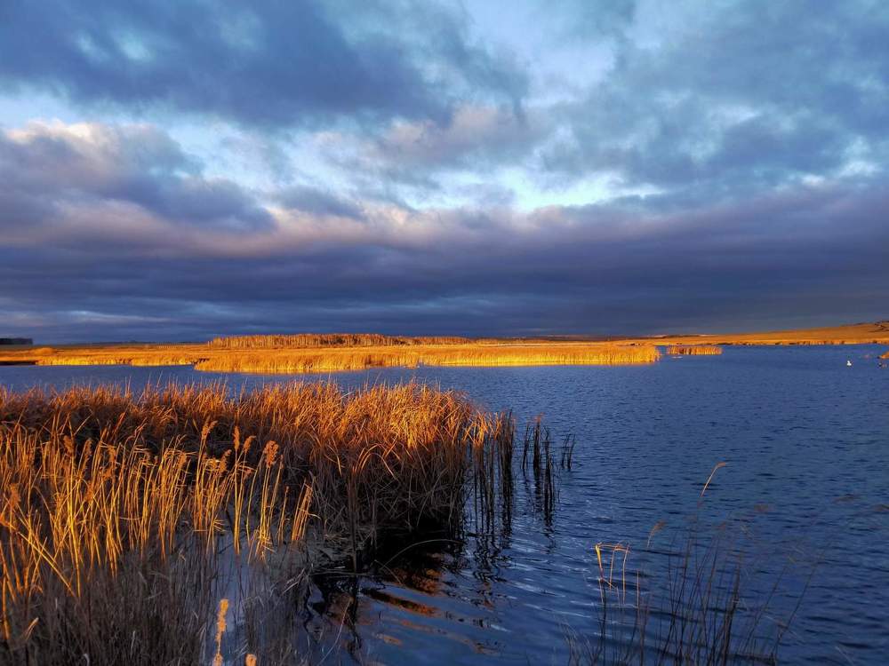 Photograph by Оксана Макарова