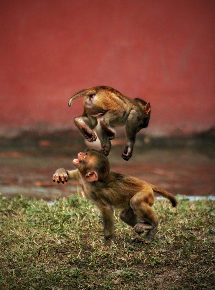 Photograph by Sai Kumar