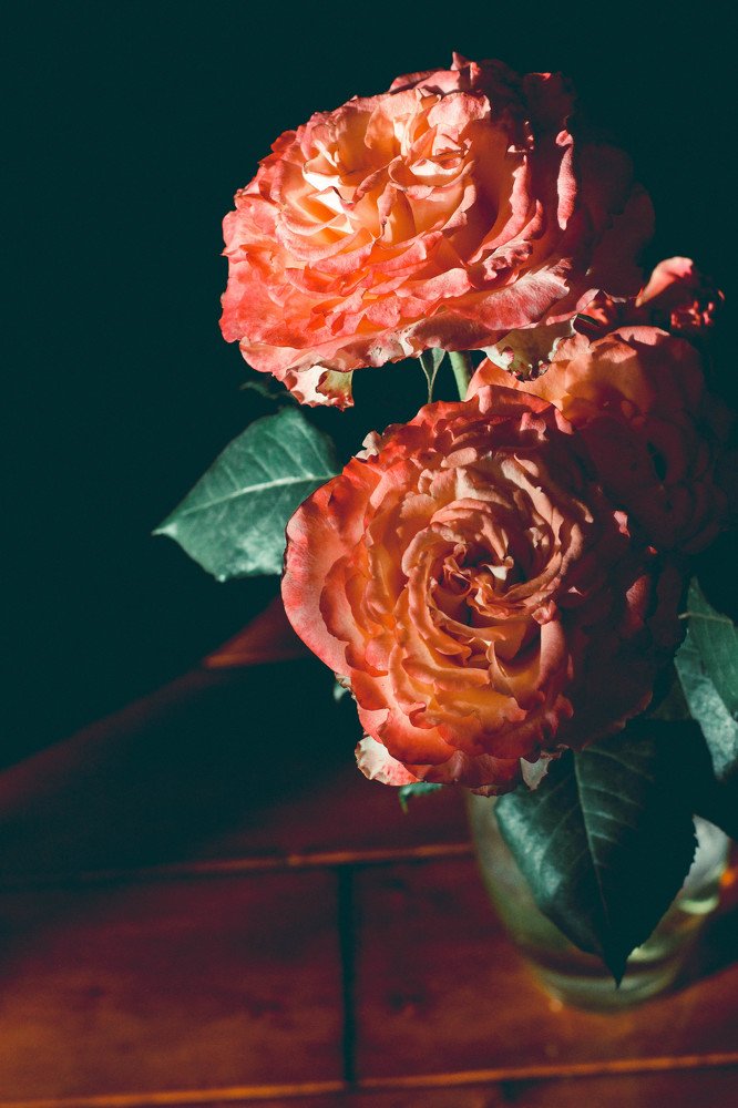 Photograph by Екатерина Романова