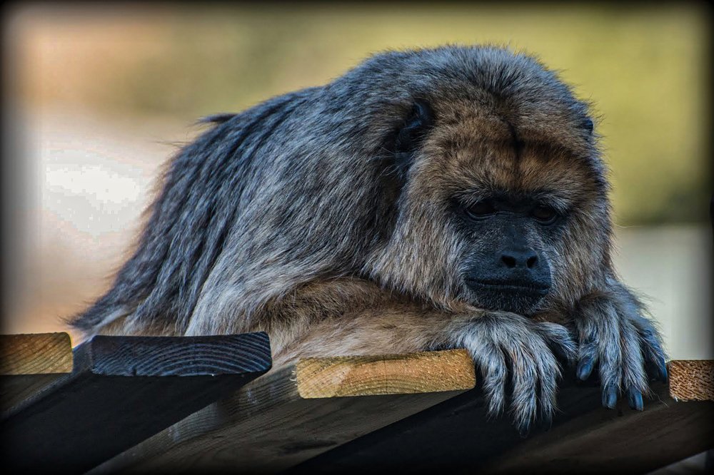 Photograph by Владислав Айзенберг