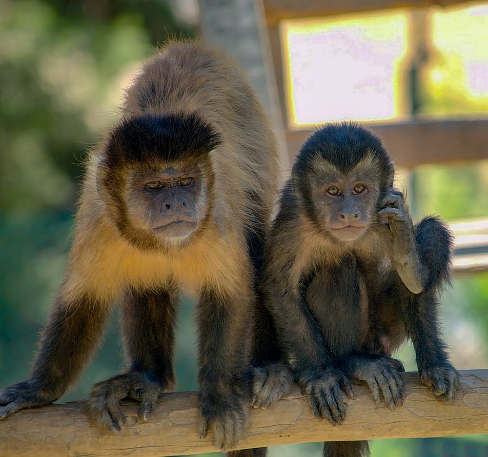 Photograph by Владислав Айзенберг