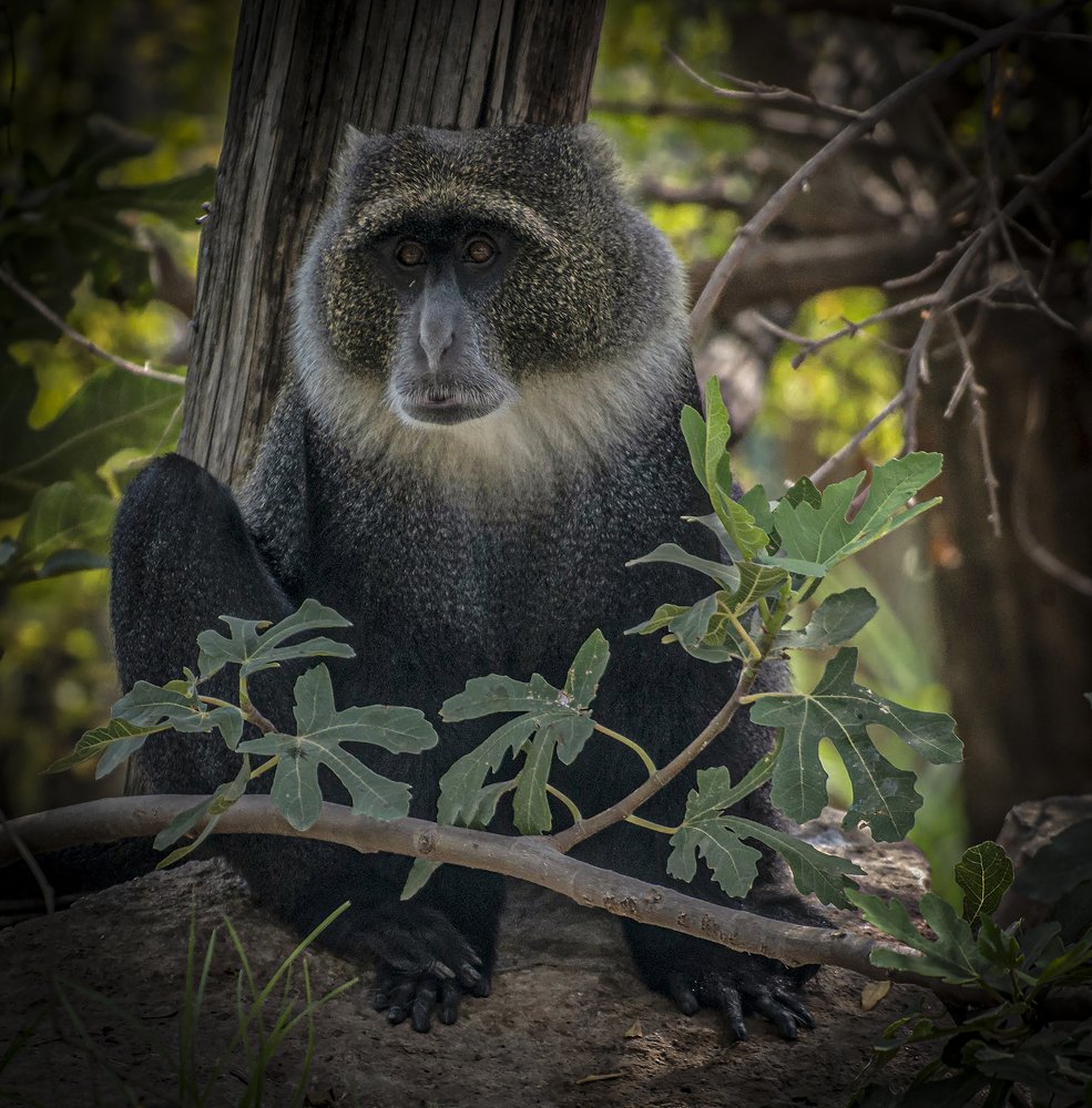 Photograph by Владислав Айзенберг