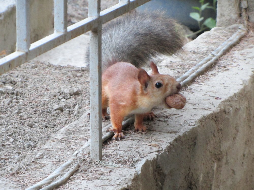 Photograph by Виктор