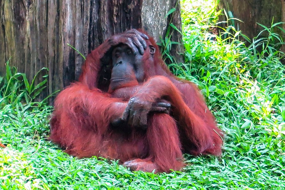 Photograph by Evgeniia Iakimenko