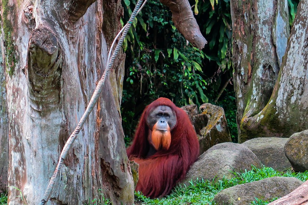 Photograph by Evgeniia Iakimenko