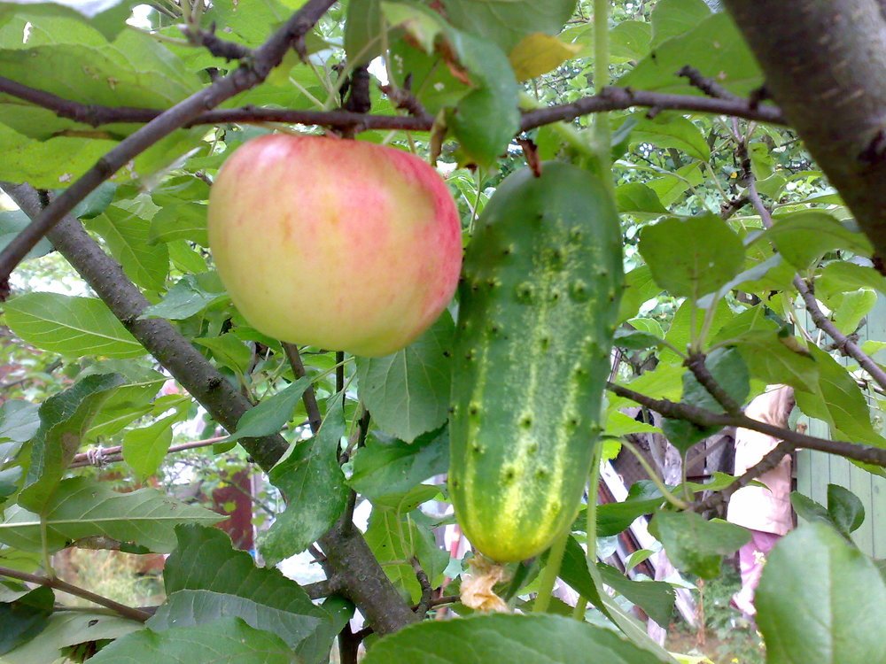 Photograph by Виктор