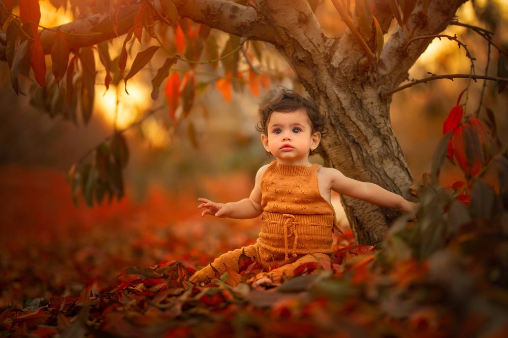 Photograph by yarden kaplan