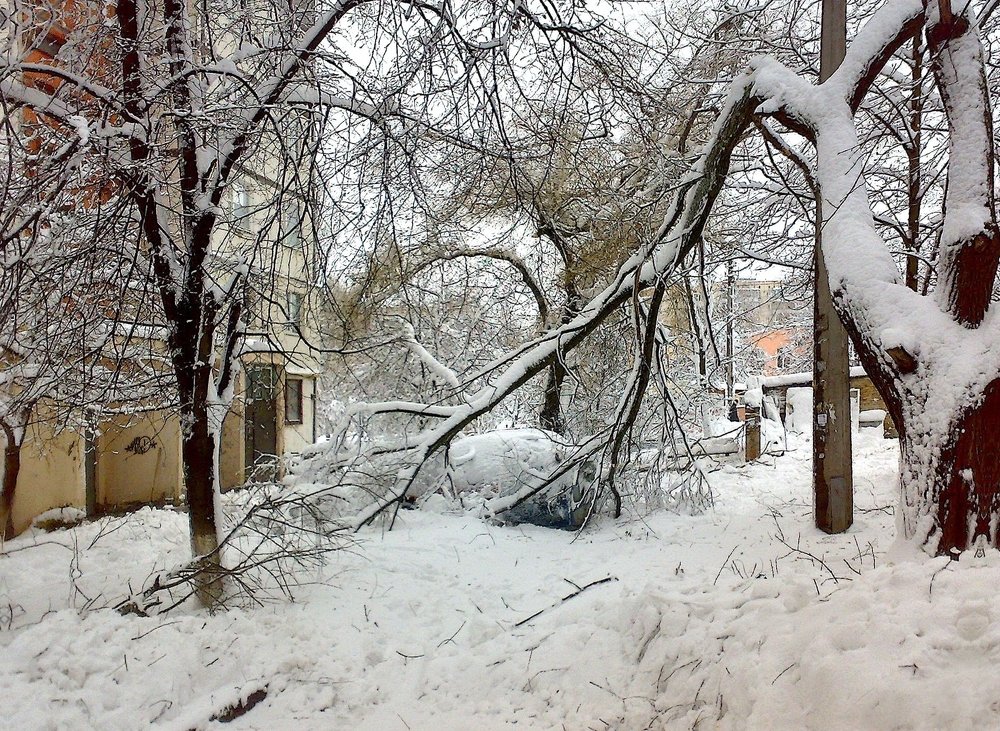 Photograph by Виктор