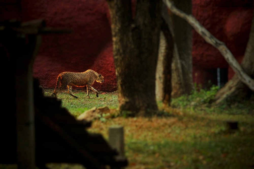 Photograph by Sai Kumar