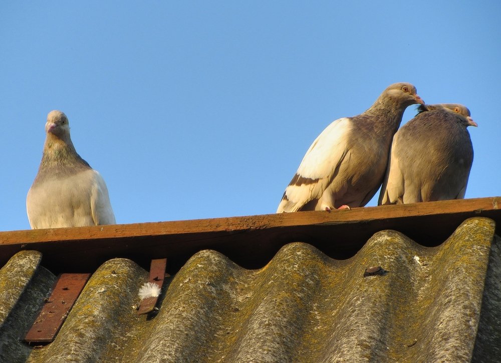 Photograph by Виктор