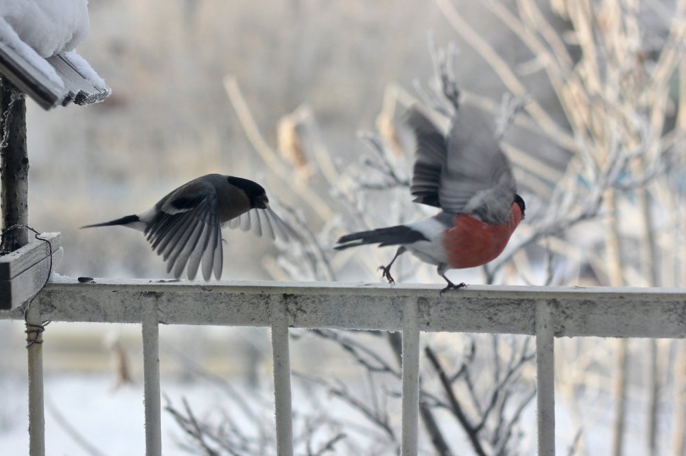 Photograph by Анна Киселёва