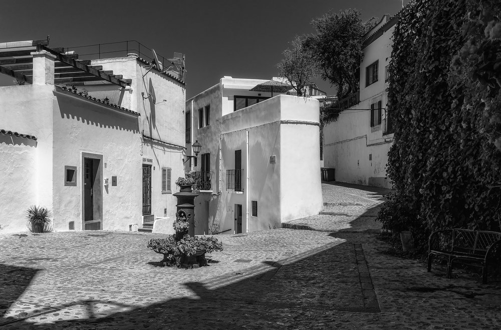 Photograph by Iris Lara