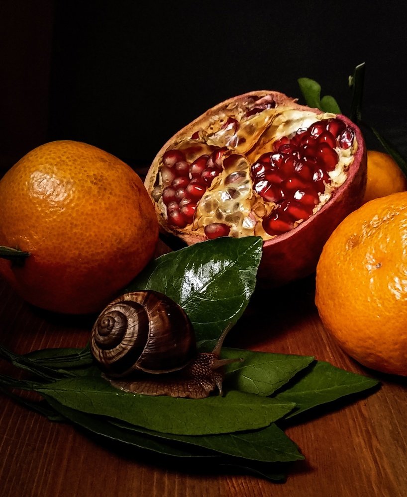 Новогодний натюрморт.