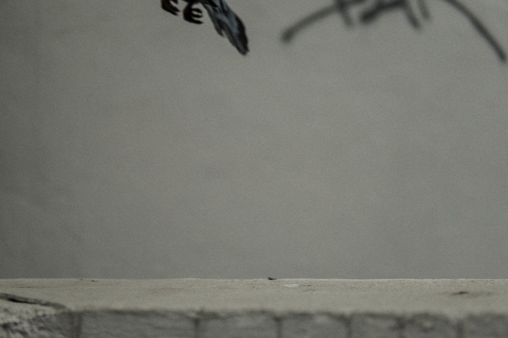 Photograph by Роман Габдуллин