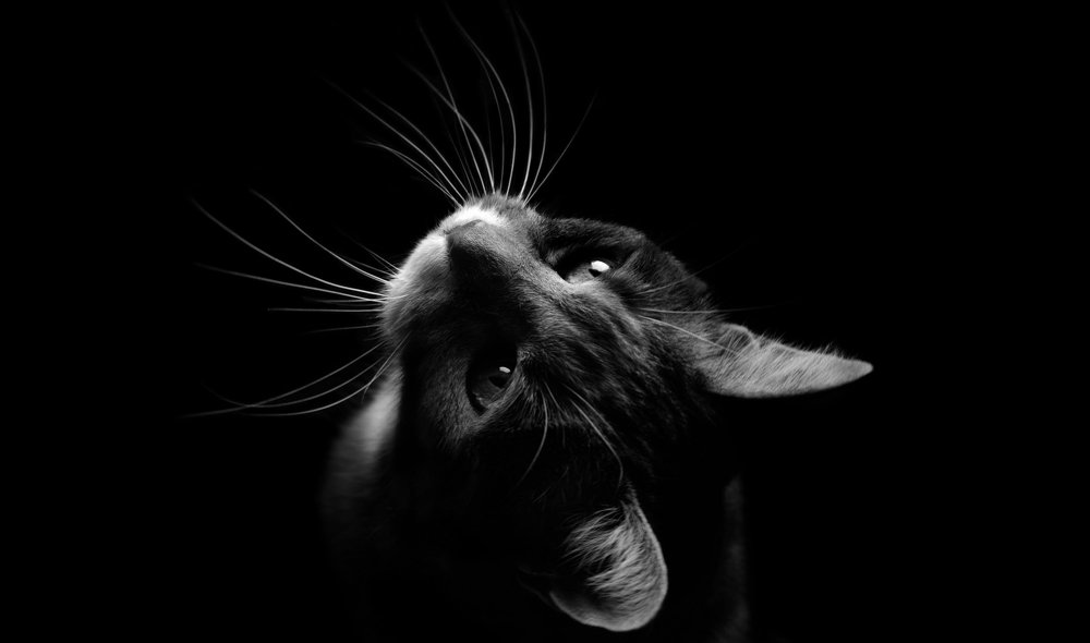 Photograph by Xenia Ololo