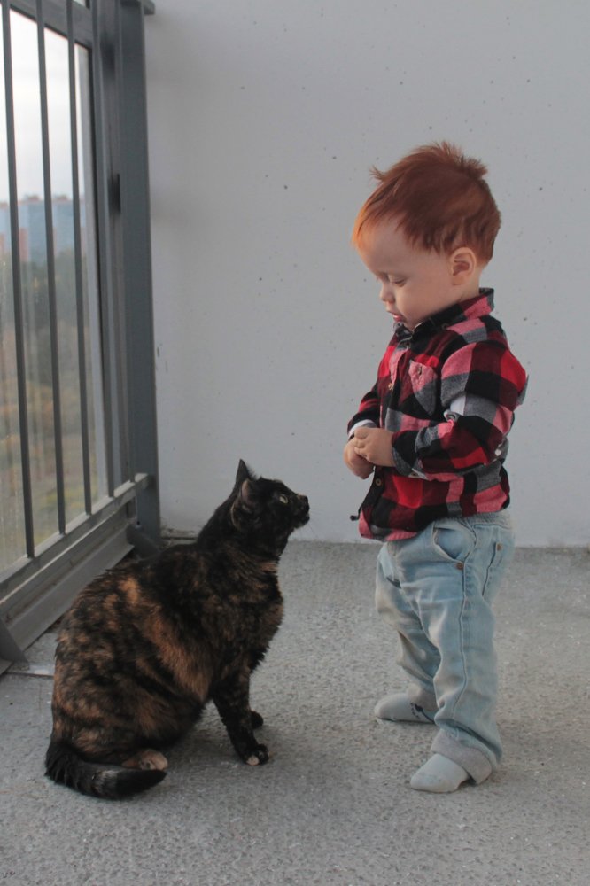 вечерний разговор