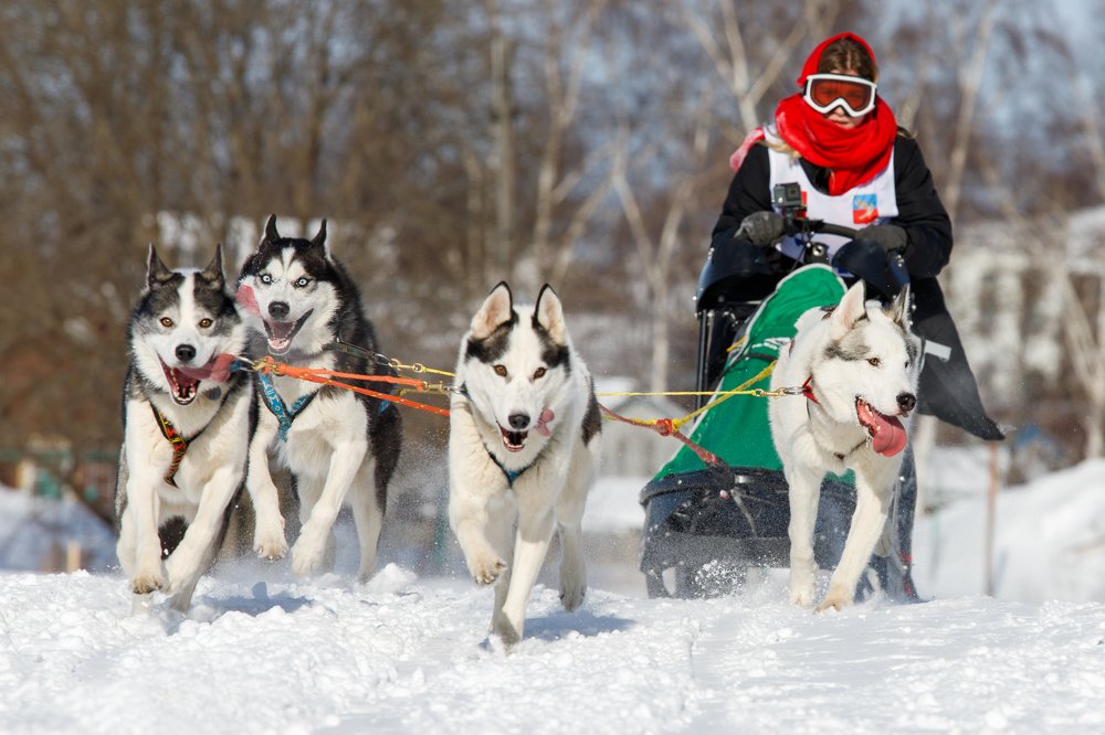 Photograph by Светлана Глебова