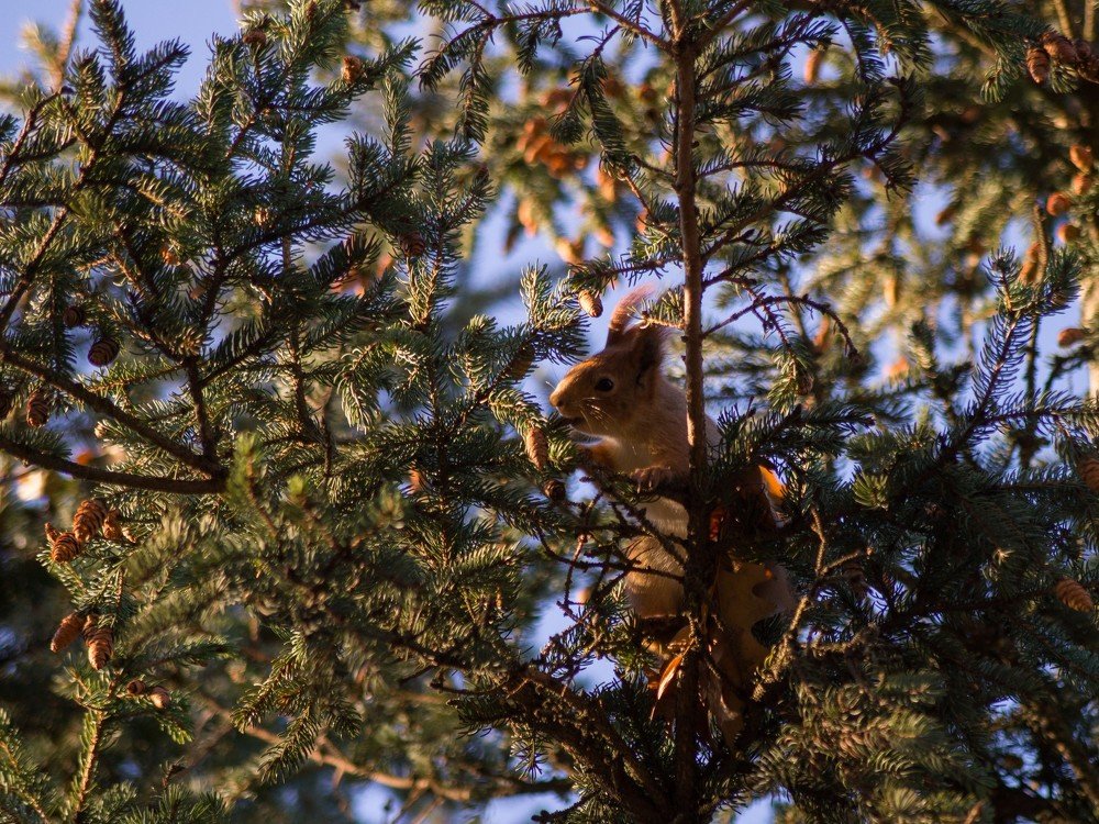 Photograph by Виктор Зотов