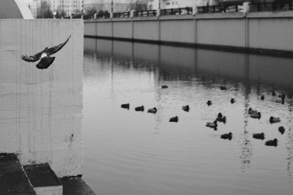 Photograph by Роман Габдуллин