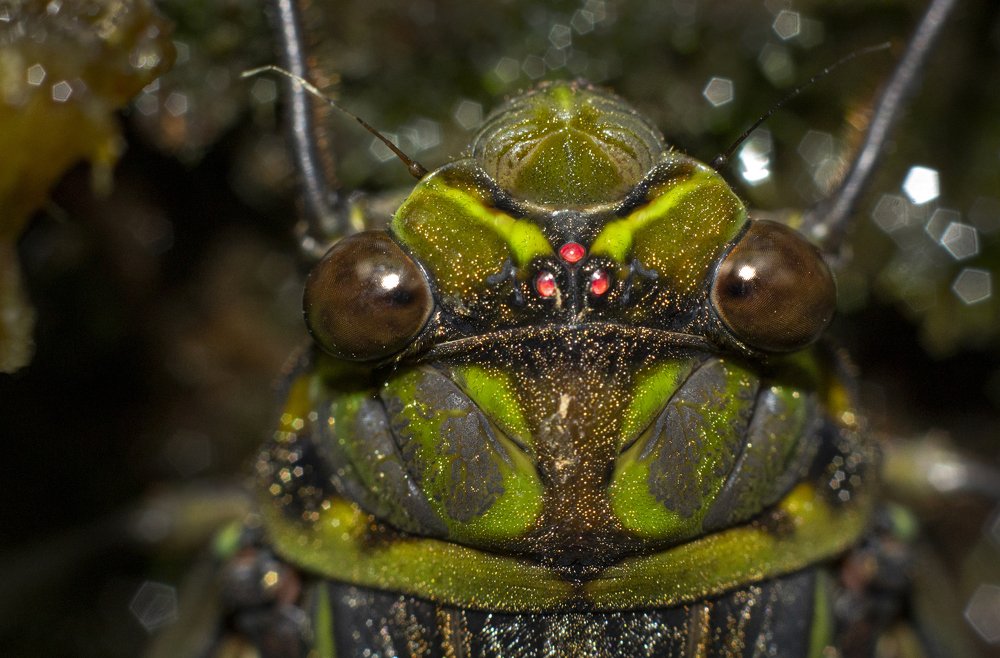 Photograph by Shashank Prabhakar