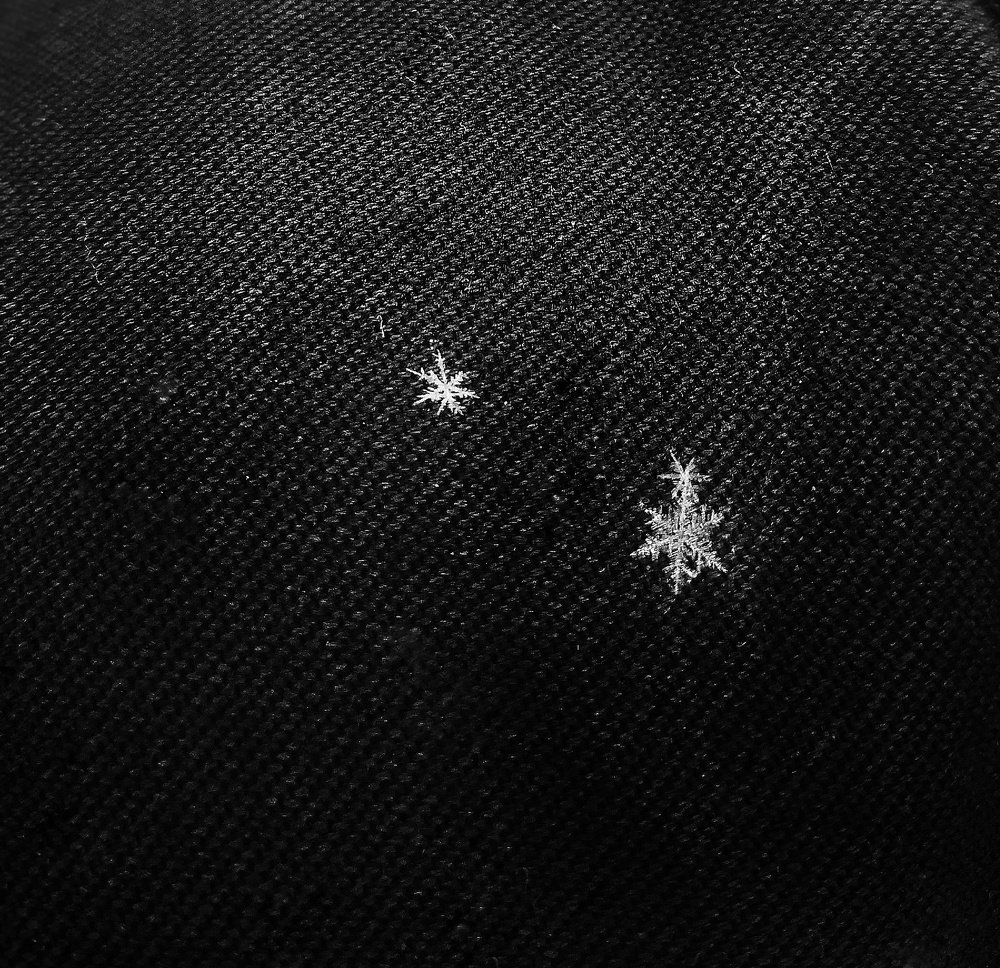 Photograph by Scrooge Ebenezer