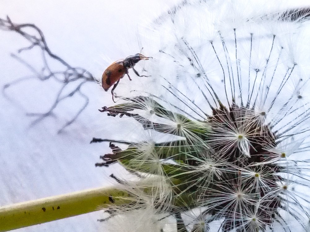 Photograph by Мария Коробова