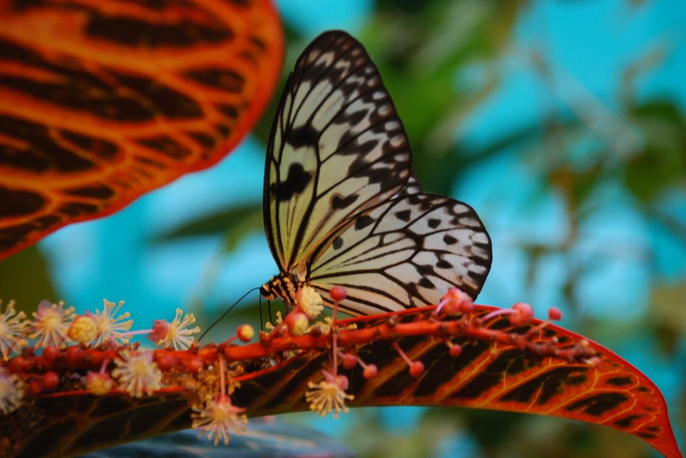 Photograph by Сергей Лобозов