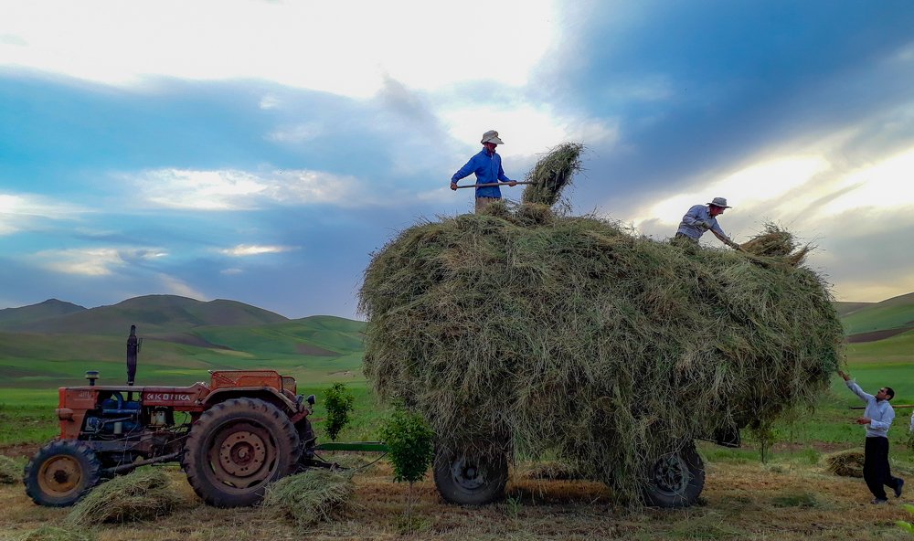 Photograph by Alipour mohammad