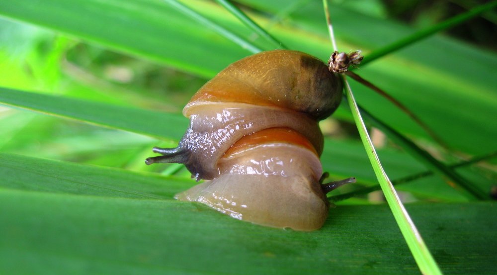 Photograph by Александр Рыбак