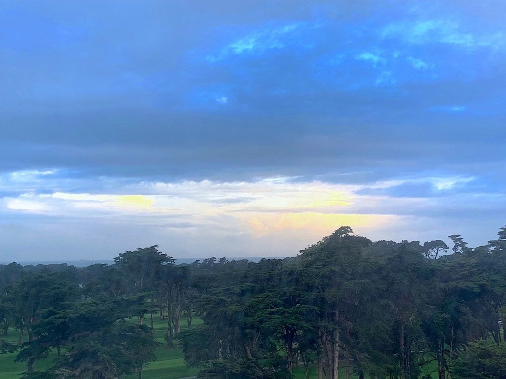 Photograph by Liliya