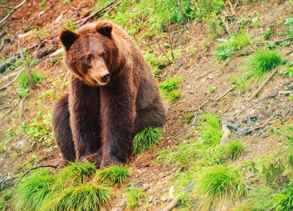 Photograph by Aeromast