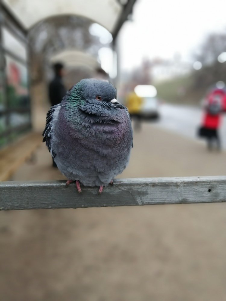 Photograph by Светлана Глебова