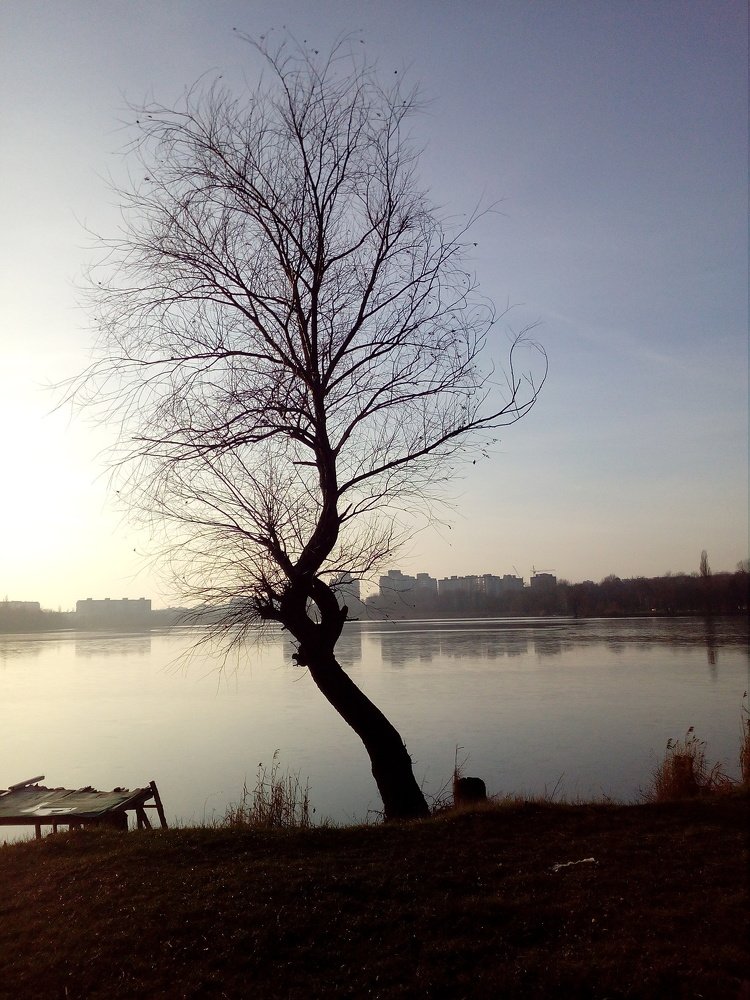 Первый ледок