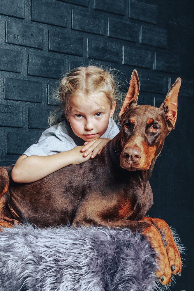 Фотография автора Юлия Соболева