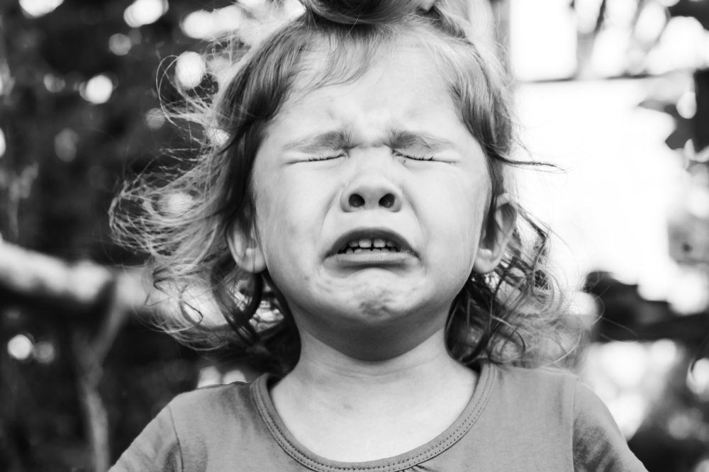 Фотография автора Юлия Соболева